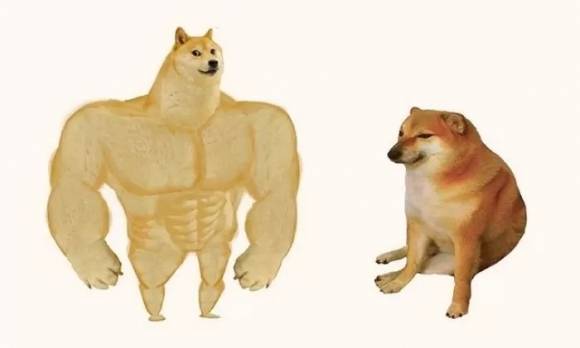 온라인에서 전 세계적 인기를 끈 ‘근육 시바견 vs 나약한 시바견’ 밈. 왼쪽이 일본인이 키우는  시바견 ‘카보스’(암컷), 오른쪽은 홍콩인이 키우던 ‘발체’(수컷). 발체는 지난 18일 암으로 세상을 떠났다.  레딧