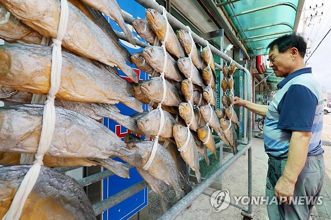 매출 증가 기대하는 영광 굴비 판매 상인 (영광=연합뉴스) 정다움 기자 = 22일 오전 전남 영광군 법성면 한 굴비 직판장에서 한 상인이 굴비를 판매하고 있다. 2023.8.22 daum@yna.co.kr