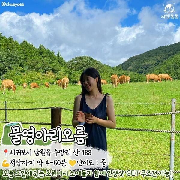 제주 오름 추천 /&nbsp;@chaeyoee&nbsp;