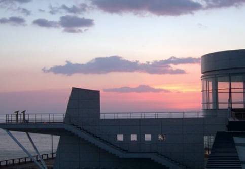 온라인 커뮤니티