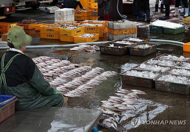 걱정이네 (양양=연합뉴스) 양지웅 기자 = 일본 후쿠시마 제1원자력발전소 오염수 방류 이튿날인 25일 강원 양양군 남애항 내 수협 위판장에서 한 어민이 경매에 넘길 생선을 정리한 뒤 쉬고 있다. 2023.8.25 yangdoo@yna.co.kr