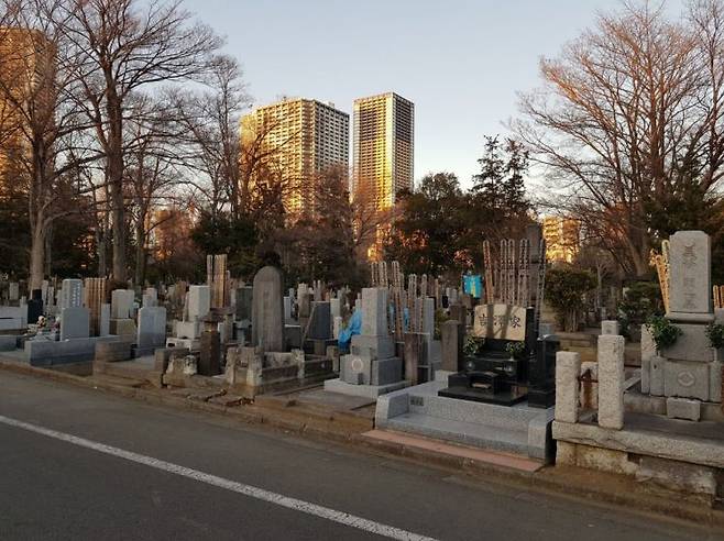 나쓰메 소세키가 잠들어있는 도쿄의 '조시가야 레이엔 묘지'. 고층 아파트가 묘지를 내려다보고 있다. [사진=조성관 작가]