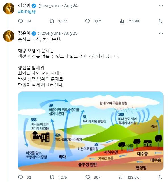 김윤아씨가 자신의 엑스(X·구 트위터)에 올린 게시물. /사진=김윤아 엑스