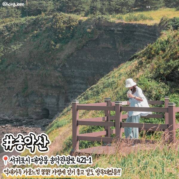 9월 제주 가볼만한 곳 /&nbsp;@hongjeee