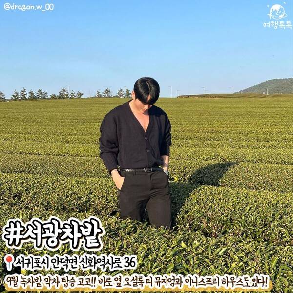 9월 제주 가볼만한 곳 /&nbsp;@dragon.w_00