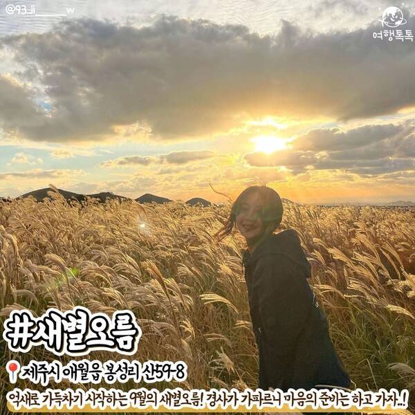 9월 제주 가볼만한 곳 /&nbsp;@93.ji______w &nbsp;