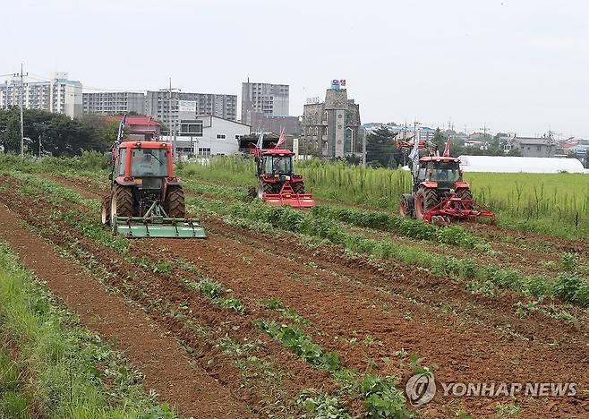 논콩밭 갈아엎는 농민들 (예산=연합뉴스) 김소연 기자 = 전국농민회총연맹 충남도연맹 관계자들이 28일 충남 예산군 예산읍 궁평리 한 논콩밭을 갈아엎고 있다. 지난 집중호우로 논콩 침수피해가 심각하다며 정부가 논콩재배를 권장한 만큼 피해를 100% 보상하고, 타작물유도사업을 중단하라고 요구했다. 2023.8.28 soyun@yna.co.kr