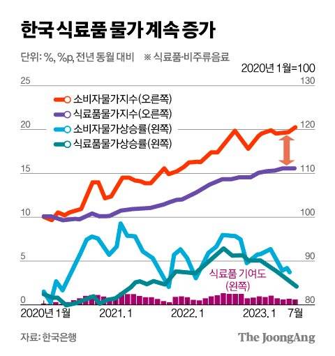 김영희 디자이너