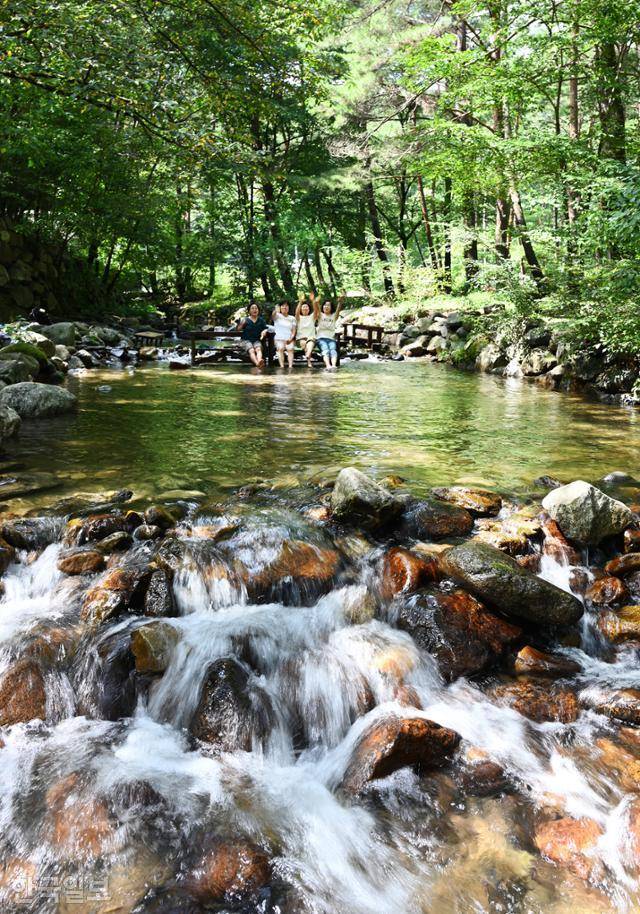 허브나라농원 방문객이 솔바람숲 계곡물에 발을 담그고 휴식하고 있다.
