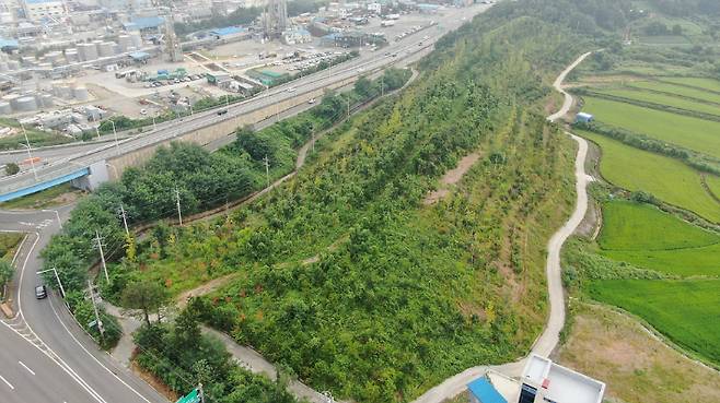 전남 여수국가산단 대체녹지대 1구간. 여수시 제공