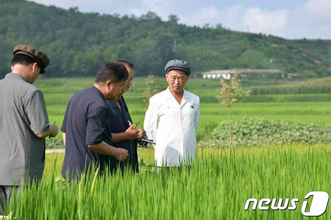 (평양 노동신문=뉴스1) = 지난 8일 황해남북도와 평안남도의 여러 군에서 농사 작황을 살펴본 김덕훈 내각총리. [국내에서만 사용가능. 재배포 금지. DB 금지. For Use Only in the Republic of Korea. Redistribution Prohibited] rodongphoto@news1.kr