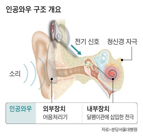 그래픽=조선디자인랩 이연주