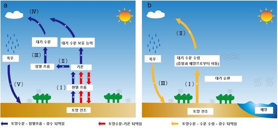 토양 수분 - 대기 되먹임 고리. 왼쪽(a)은 습한 지역의 국소 수분 이동 과정으로 (I)토양 건조는 현열 흐름을 증가시키고, 현열 흐름의 증가는 온도를 더욱 높인다. (II) 더욱 뜨거워진 공기는 증발을 증가시키고 잠열 흐름을 증가시킨다. (III) 잠열 흐름과 온도가 상승함에 따라 대기의 수분 보유 능력과 수분 함량이 증가한다. (IV) 대기 수분 함량의 증가에 의해 폭우가 촉발된다. (V) 홍수는 토양의 추가 건조를 방지한다. 오른쪽(b)은 건조 지역의 수분의 장거리 이동 과정으로 (I) 토양 건조는 수분 수렴을 향상시켜 대기 중 수분을 증가시킨다. 해양은 수분의 장거리 이동 과정에서 주요 수분 공급원이다. (II) 공기 중의 수분이 상승함에 따라 폭우가 발생할 가능성이 높아진다. (III)홍수는 토양의 추가 건조를 방지한다. [자료: Communications Earth & Environment, 2023]