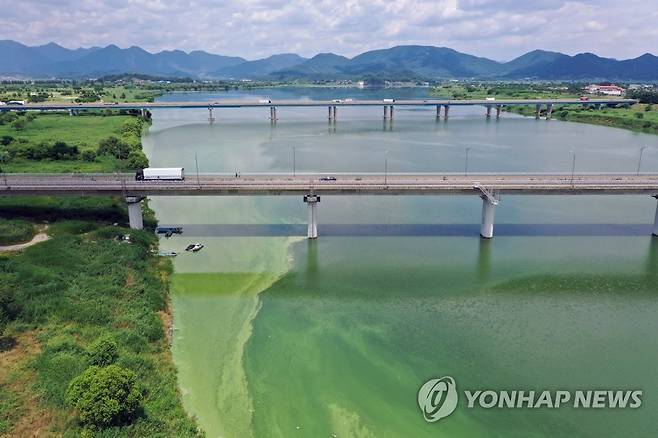 낙동강 조류 경보 [연합뉴스 자료사진]