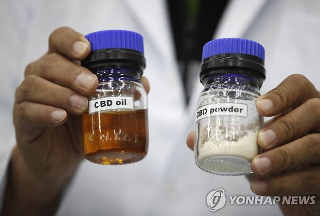 대마 오일 [EPA 연합뉴스 자료사진. 재판매 및 DB 금지]