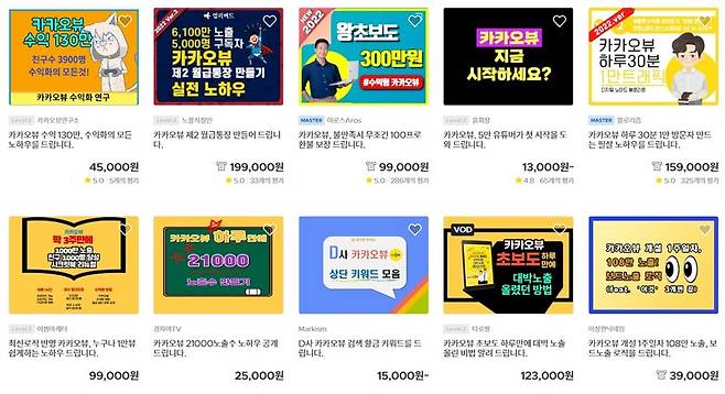 ▲ 2022년 6월 크몽에서 '카카오뷰'로 검색한 결과. 카카오뷰 키워드를 활용해 수익을 내려는 이들이 늘었다.