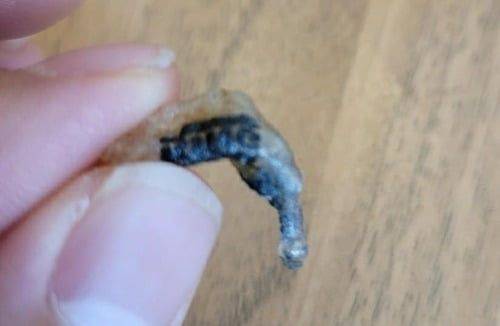 버거킹 햄버거 고기 패티에서 나온 이물질. 테이프가 고기 패티와 함께 기름에 구워지며 녹아서 뭉친 것으로 파악됐다. [사진 출처=연합뉴스]