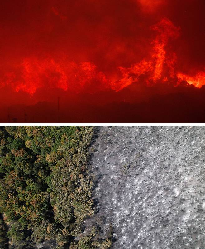 그리스 동북부 에브로스 지역의 아반타스 마을에서 지난 8월 21일(현지시간) 시뻘건 화염이 산 전체를 뒤덮고 있다. 그로부터 일주일 후인 28일 마을 숲 일부가 불타버린 모습(아래쪽). 에브로스=로이터·AP연합뉴스