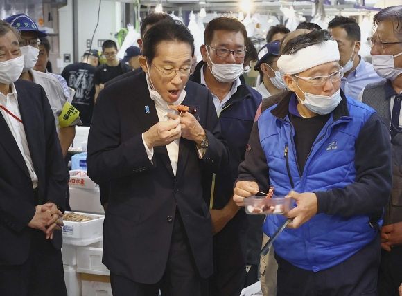 기시다 후미오 일본 총리가 31일 오전 수산물 도매시장인 도쿄 도요스 시장을 방문, 문어를 시식하고 있다. 2023.8.31 연합뉴스