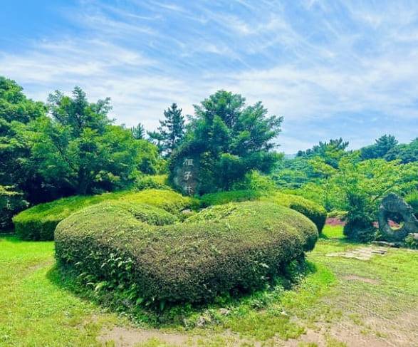 온라인 커뮤니티