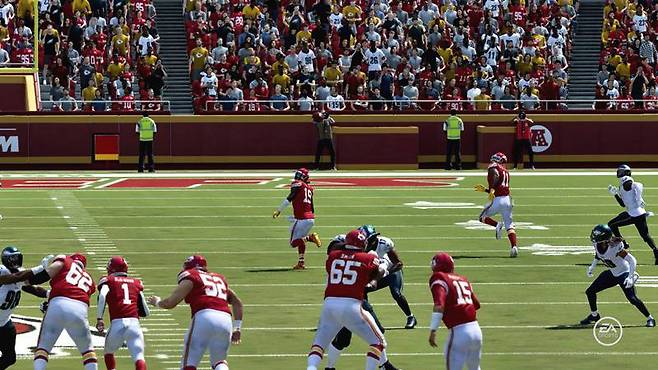 매든 NFL 24