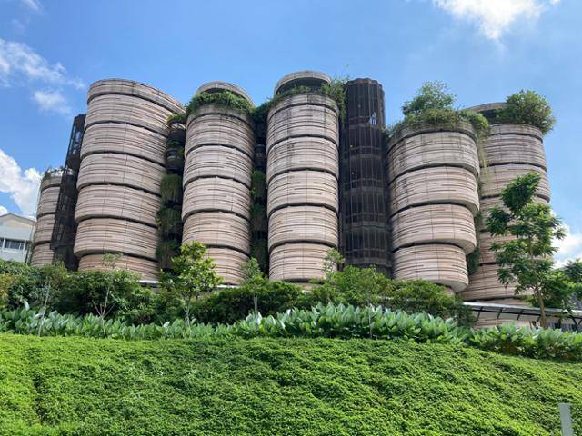 싱가포르 난양기술대학교에 있는 하이브(The Hive) 건물은 벌집을 연상케 하는 독특한 외관으로 시각적 충격을 안겼다.
