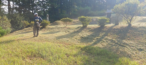 용인시 한 지역에서 벌초 대행 서비스를 진행하고 있다.  [사진=용인시]