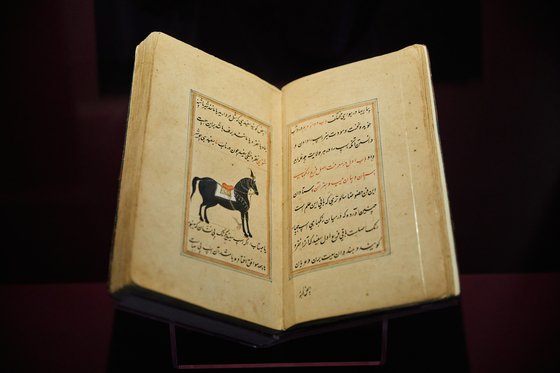 페르시아문자로 쓰인 무굴 제국의 말 관리 지침서 『말의 책』