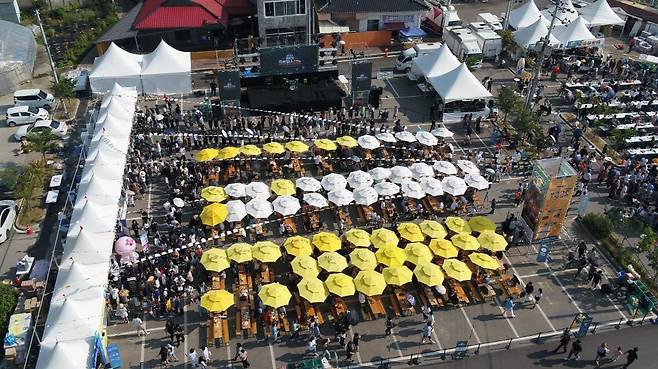 예산 맥주 페스티벌 모습 [예산군 제공. 재판매 및 DB 금지]