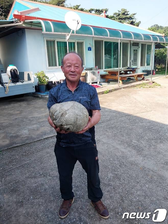 산소 벌초를 하러 가던 중 댕구알 버섯을 발견한 홍성 금마면 서기석씨가 버섯을 들어보이고 있다.(홍성군 제공)/뉴스1