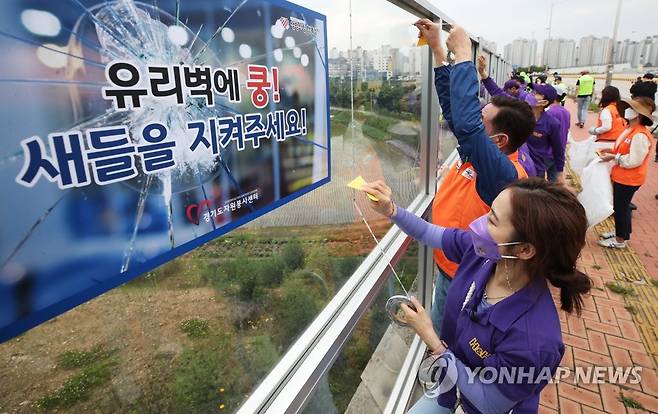 충돌 방지 필름으로 야생 조류 살려요 [연합뉴스 자료 사진]