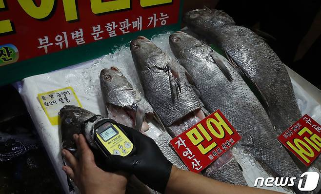 8월22일 서울 동작구 노량진 수산시장에서 시장관리부 직원이 일본산 수산물에 대한 방사능 검사를 하고 있다. 2023.8.22/뉴스1 ⓒ News1 김성진 기자