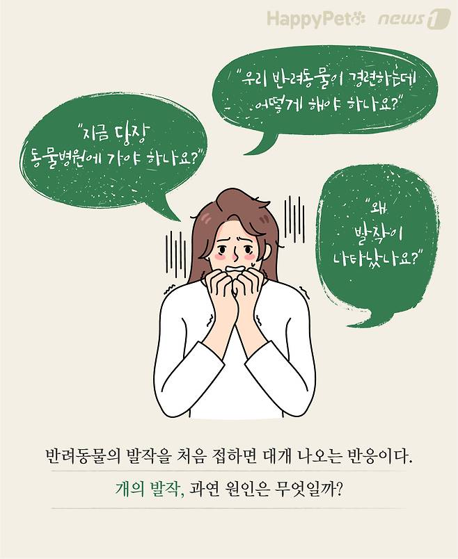 응급처치 펫카드