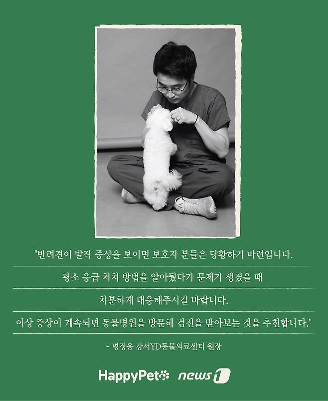 응급처치 펫카드