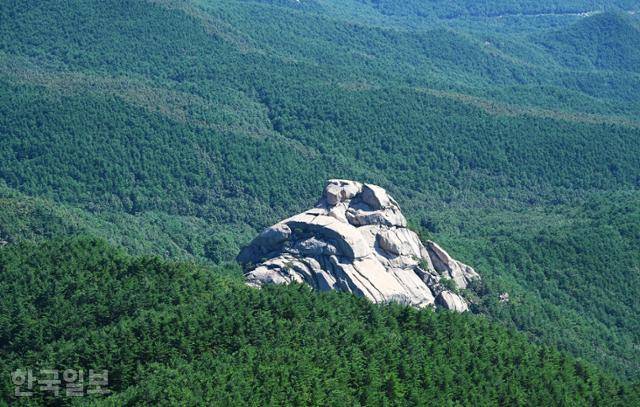 신선대에서 보는 화암사 수바위 모습. 짙은 녹음의 바다에 떠 있는 섬처럼 보인다.