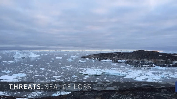 "덜 얼고." 북극이 가열화되면서 바다 얼음은  더 얇아지고 것으로 확인됐다. [사진=NOAA]