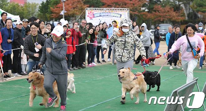 속초 반려견 문회축제 자료사진.(뉴스1 DB)