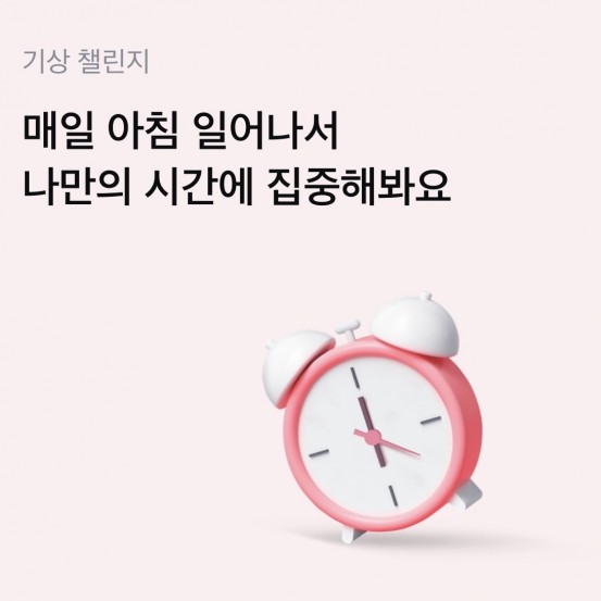 출처: 모니모 앱 캡쳐