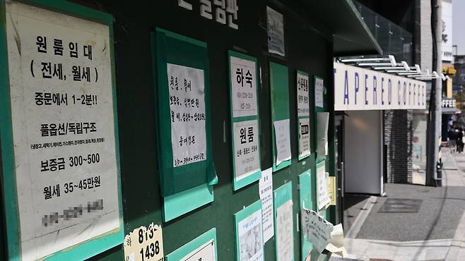 [자료사진 제공 : 연합뉴스]