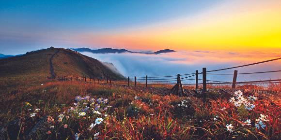 소백산 비로봉 풍경. [사진=단양군]