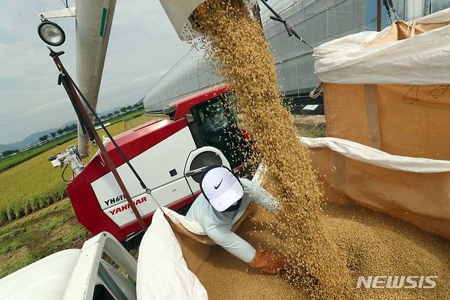 [부산=뉴시스] 하경민 기자 = 벼 수확 작업. 2022.08.23. yulnetphoto@newsis.com