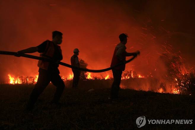 남수마트라 화재 지난 8월 17일 인도네시아 남수마트라주 오간 일이르 이탄지에서 발생한 화재를 소방관들이 진압하고 있다.
[AP 연합뉴스 자료사진. 재판매 및 DB 금지]