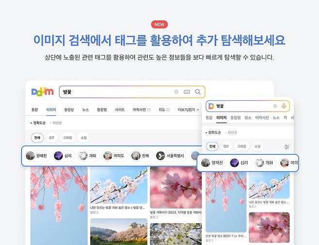 다음, 태그 활용해 포털 이미지 검색 강화 [다음 제공]