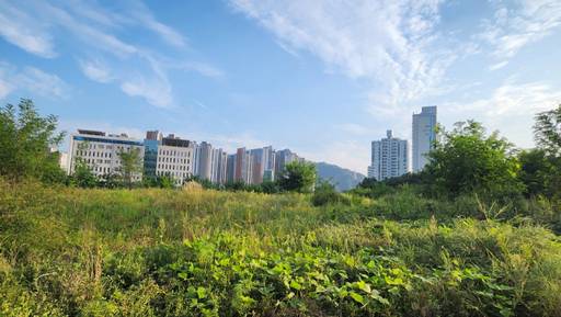 의정부시 용현동 267-8번지 대우아파트가 들어설 부지 전경. 김동일기자