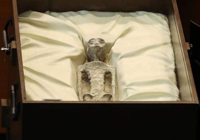12일(현지시간) 멕시코 멕시코시티의 산 라자로 입법 궁전에서 열린 미확인 비행 물체 관련 청문회에서 비인간 존재의 유해가 전시되고 있다. 로이터