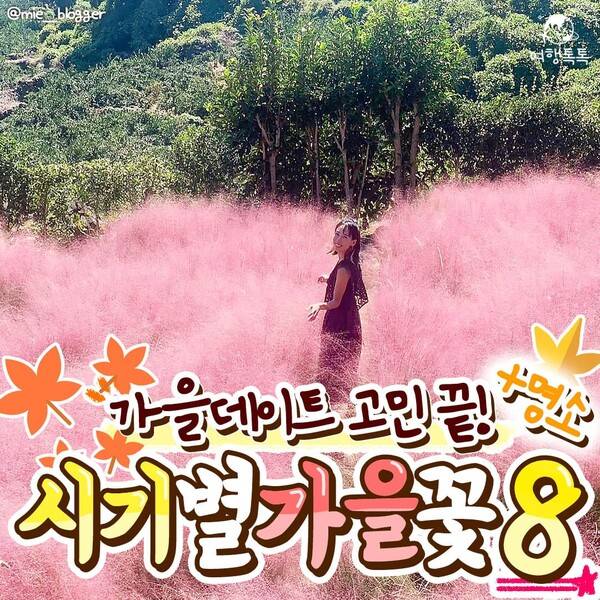 가을 데이트 코스 /&nbsp;@mie__blogger&nbsp;