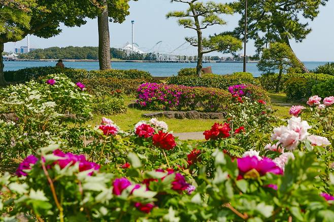 동네 어르신들의 피사체가 돼 주는 모란정원