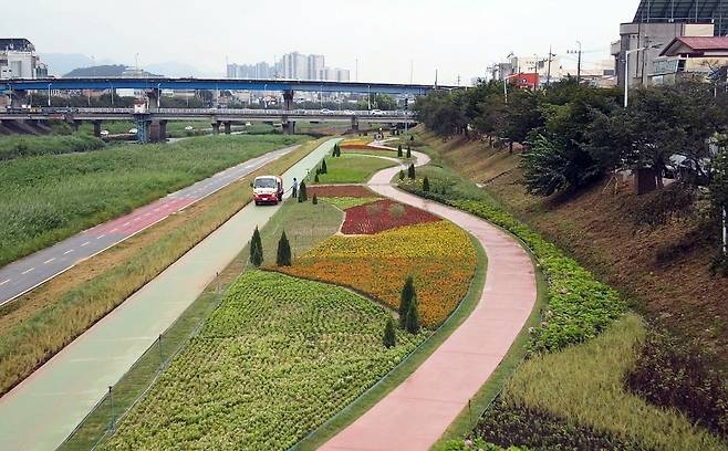 청주 무심천 꽃 정원.(시제공)