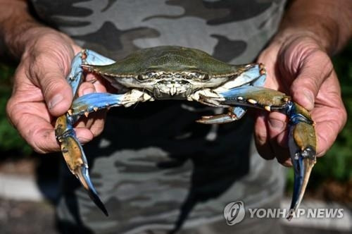 [사진 = AFP 연합뉴스]