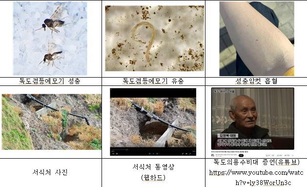 독도점등에모기 관련 자료(국립생물자원관 제공)